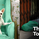 Illustration for article titled Study Finds Gap Widening Between Rich Pets And Poor Americans